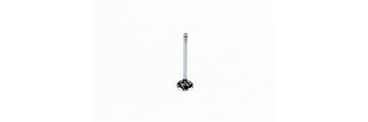 VALVE Exhaust (102.65mm length) ->5 / 1995