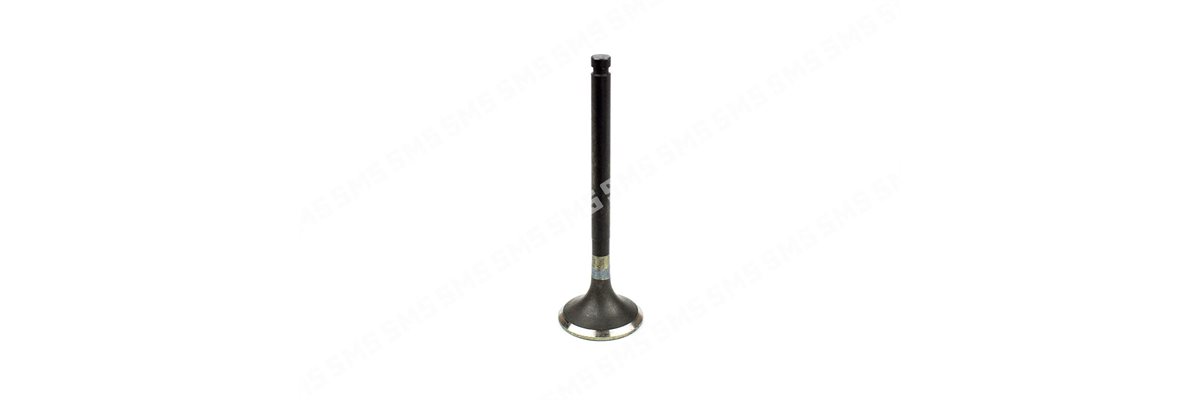 VALVE Exhaust (101.65mm length) 5 / 1995->