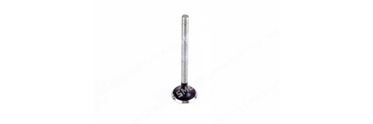 VALVE Inlet (30 degree seat)