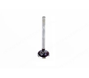 VALVE Inlet (30 degree seat)