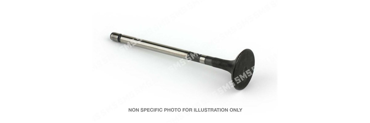 VALVE Exhaust (31mm head)