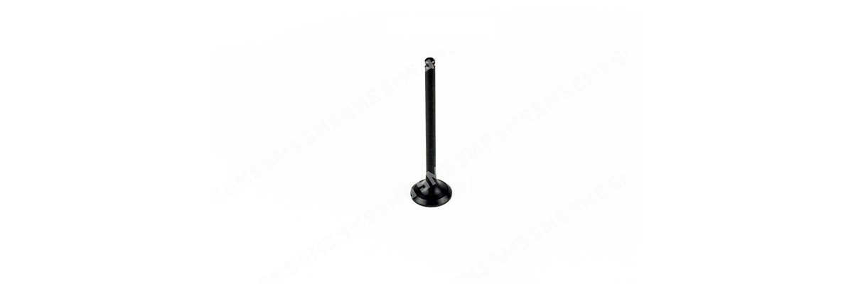 VALVE Exhaust (129.8mm length) 6 / 1995>