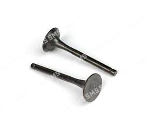 VALVE Inlet