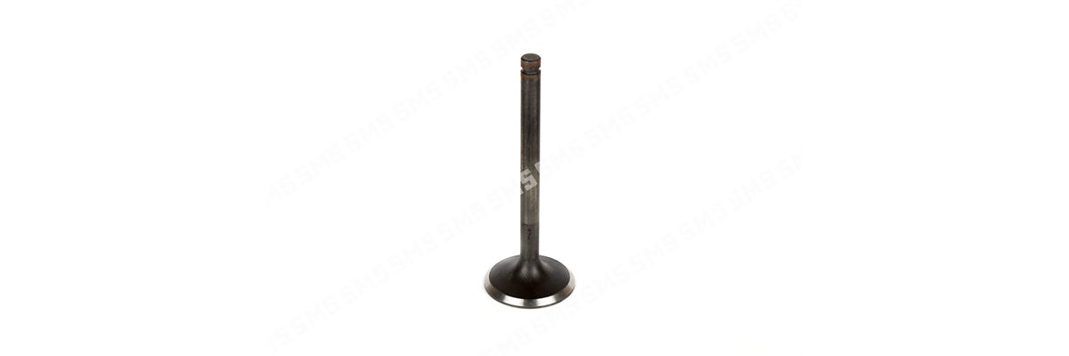 VALVE Inlet (45 degree seat)