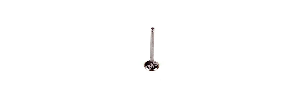 VALVE Inlet (38mm head)