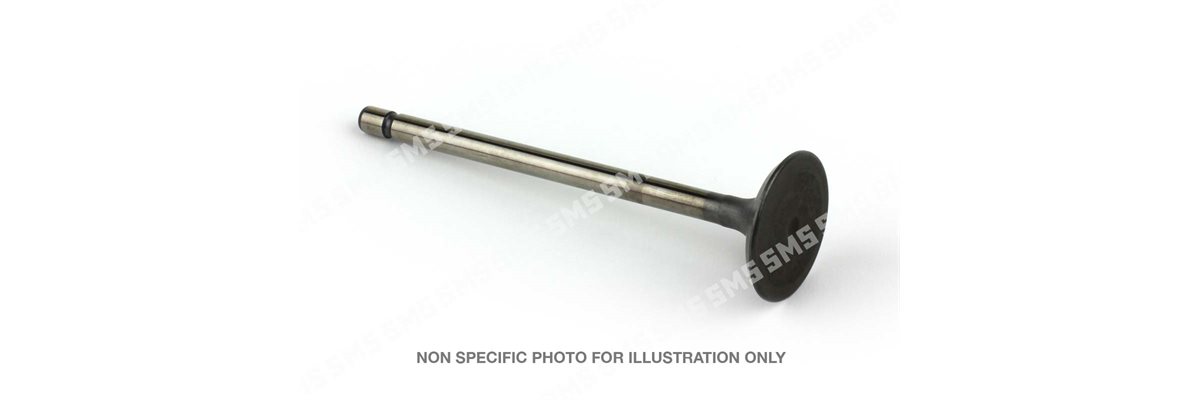 VALVE Inlet (46mm head)