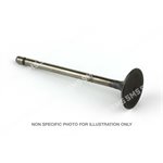 VALVE Inlet (46mm head)