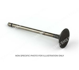 VALVE Inlet (46mm head)