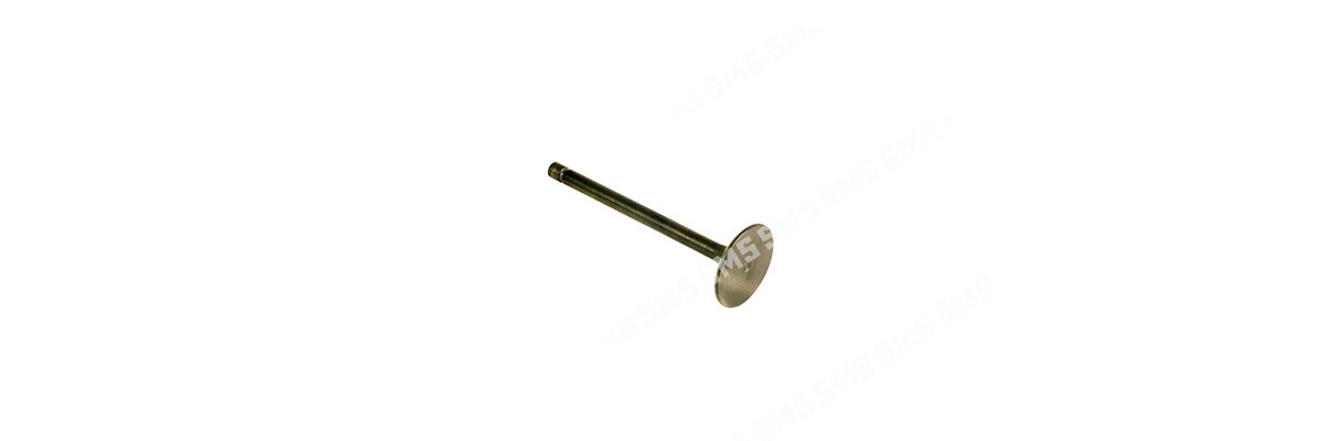 VALVE Inlet (40.2mm head) ->8 / 1993