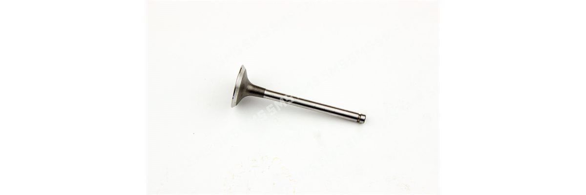 VALVE Inlet