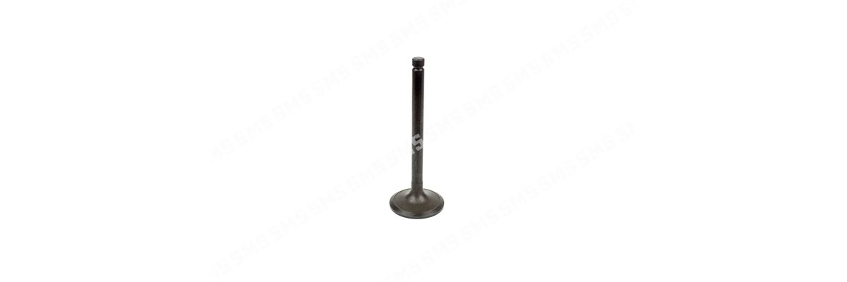 VALVE Inlet (30 degree seat)