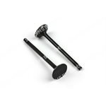 VALVE Inlet