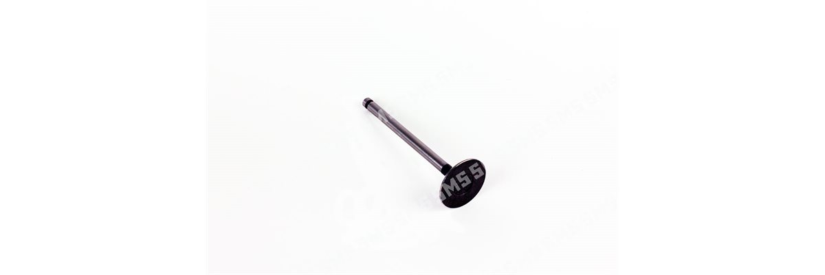 VALVE Inlet (44mm head)