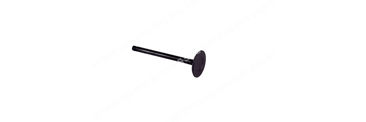 VALVE Inlet (47mm head)