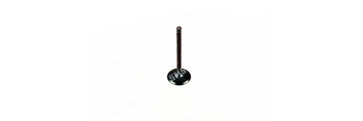 VALVE Inlet