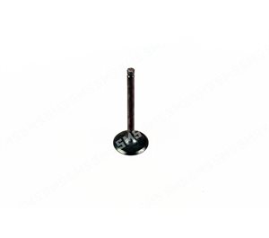 VALVE Inlet