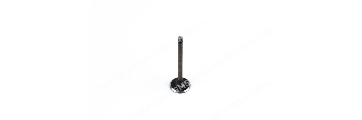 VALVE Inlet