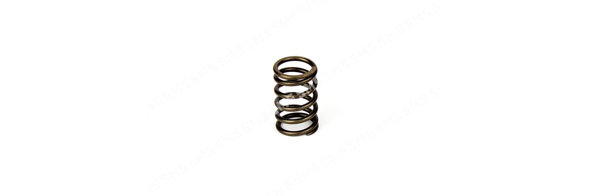 VALVE SPRING