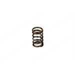 VALVE SPRING