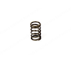 VALVE SPRING